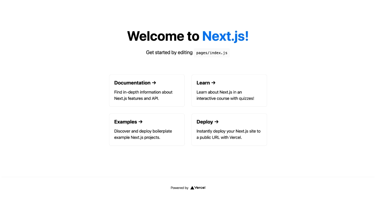 Welcom to Next.js home page for new project